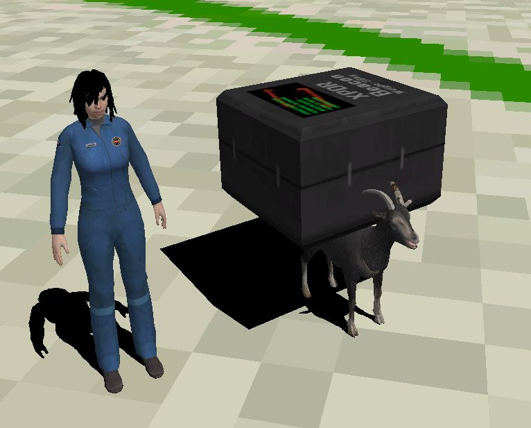Goat at KSC with cargo and a female herder